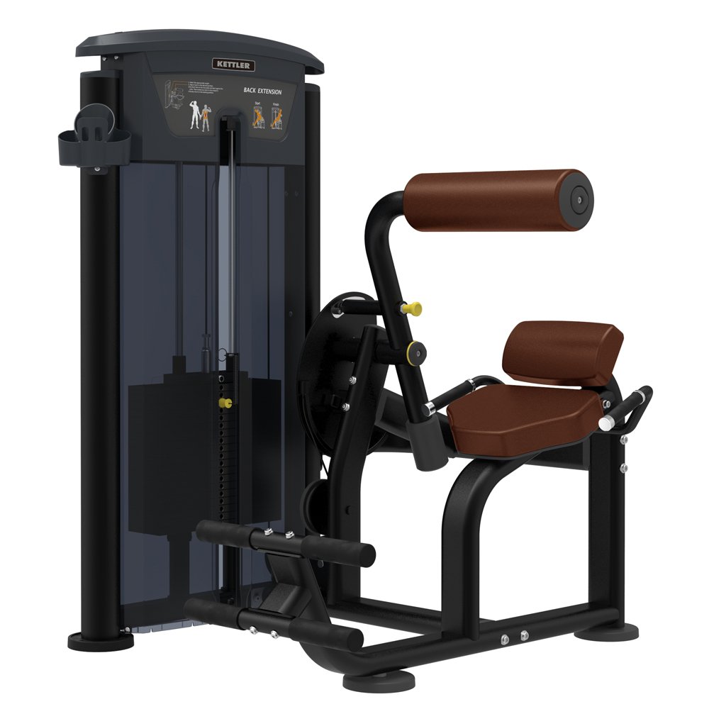 BACK EXTENSION / 07950-320