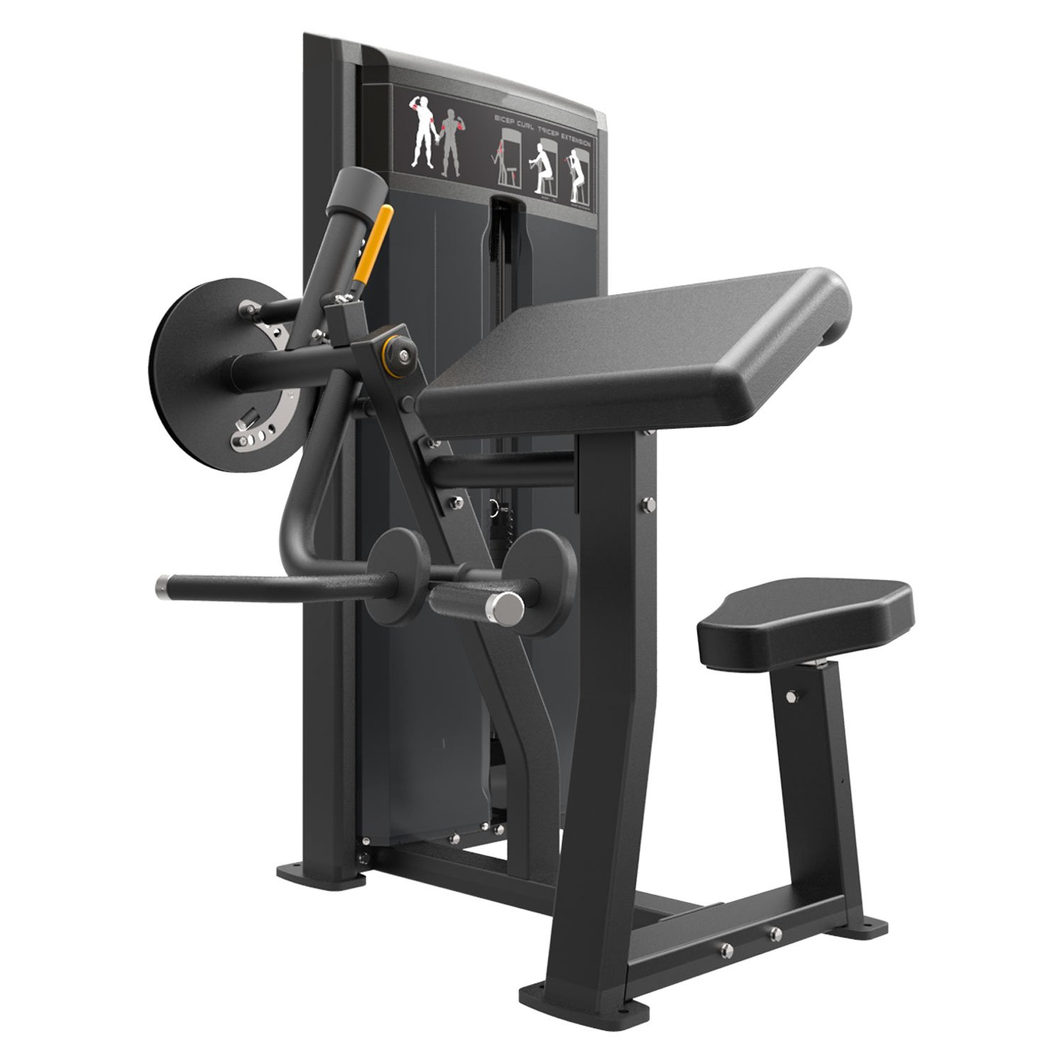 BICEP CURL-TRICEP EXTENSION / 06300-133