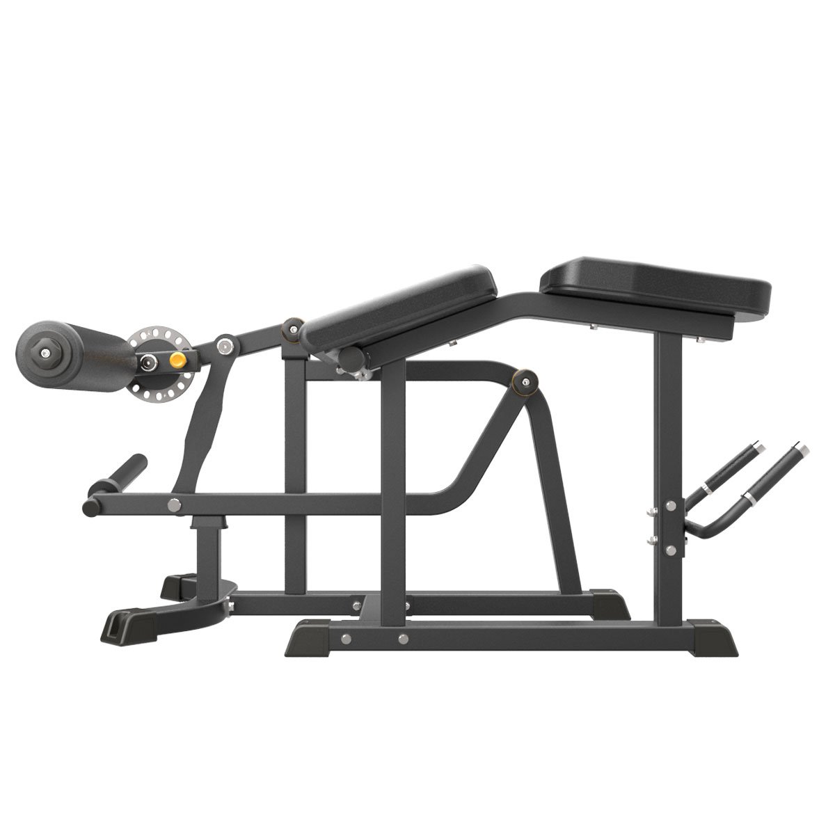 PRONE LEG CURL / 07910-104 - Image 2